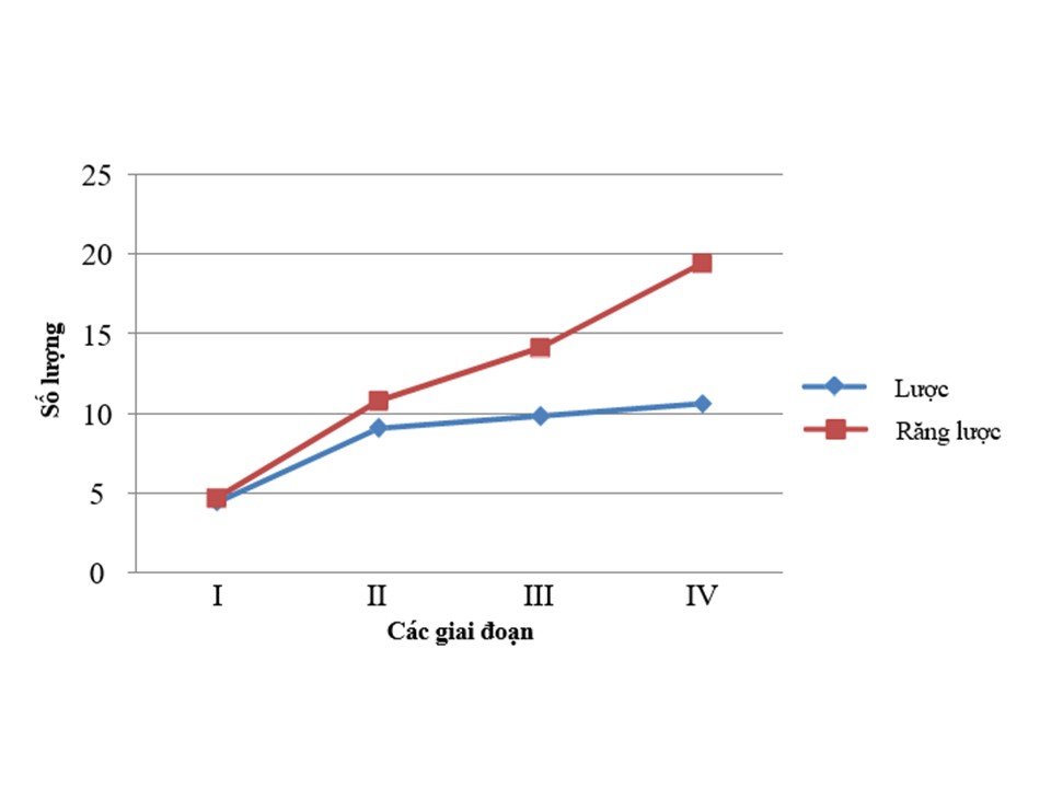 Image from DOCX