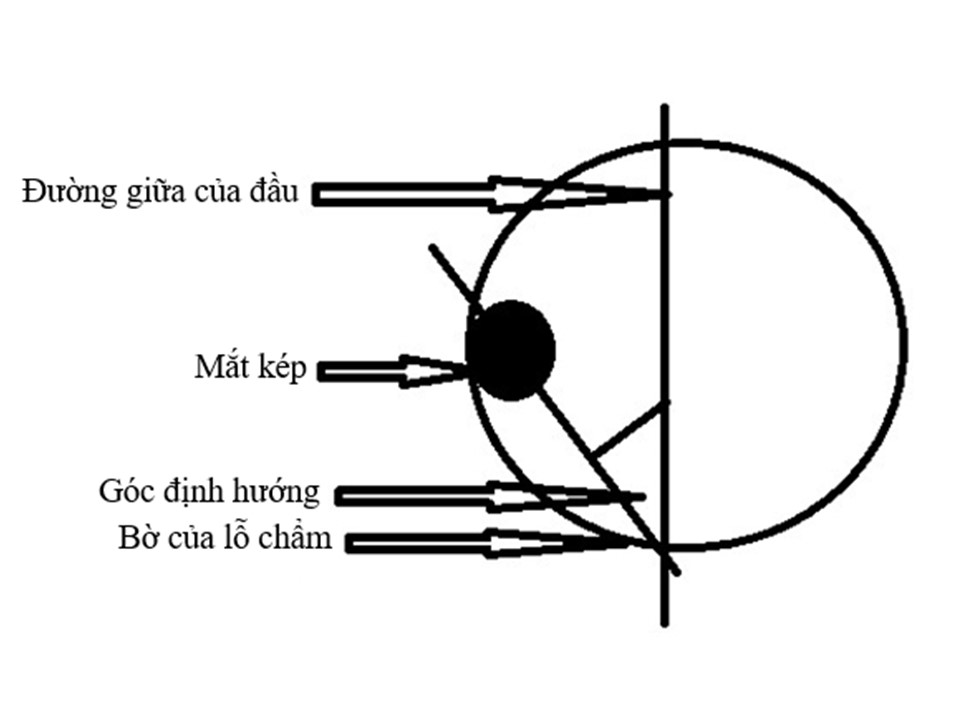 Image from DOCX