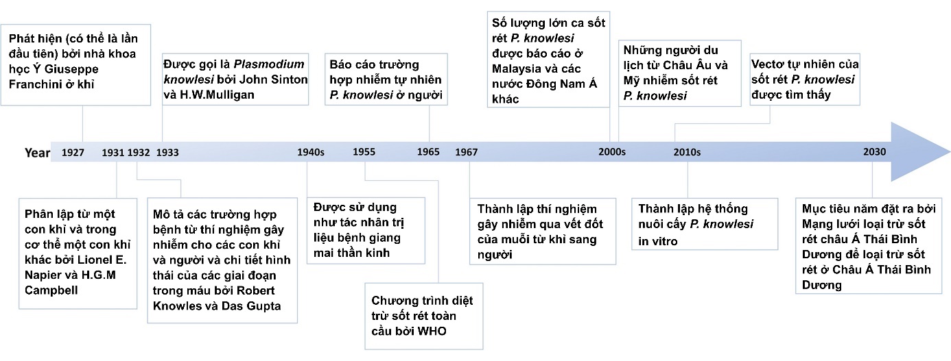 Image from DOCX
