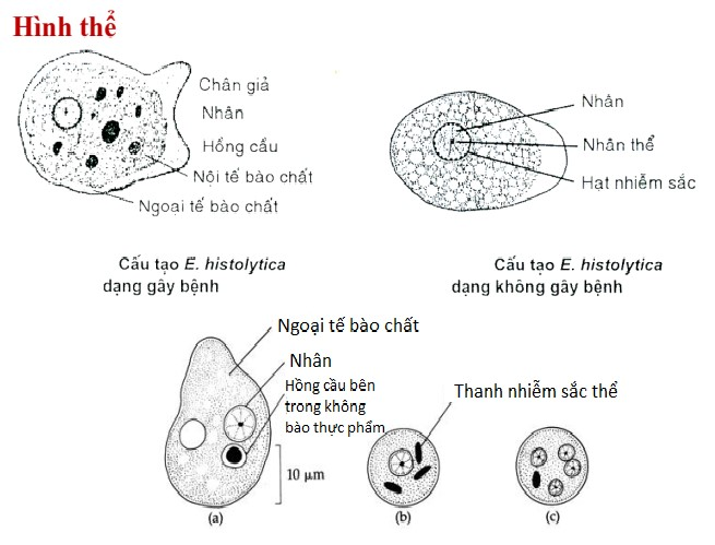 Image from DOCX