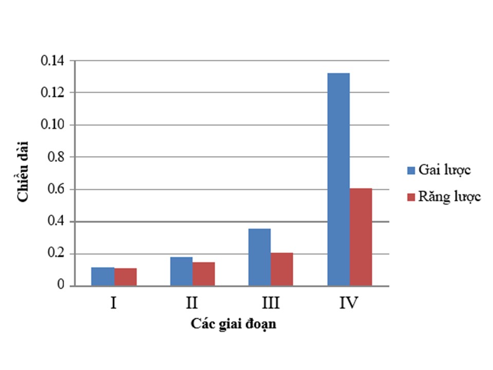 Image from DOCX