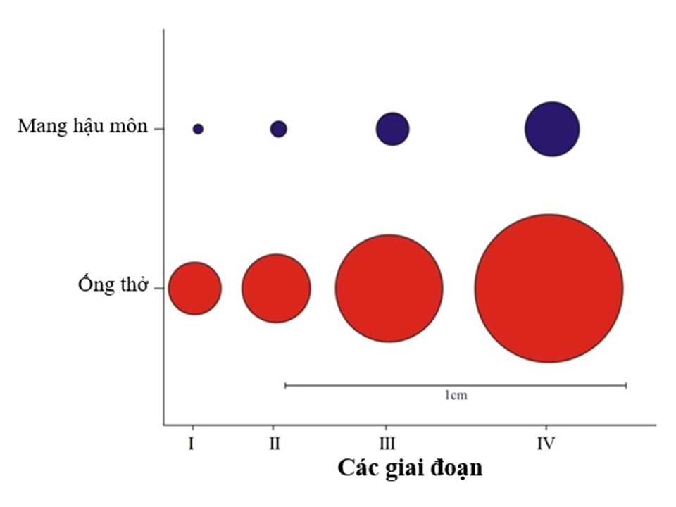 Image from DOCX