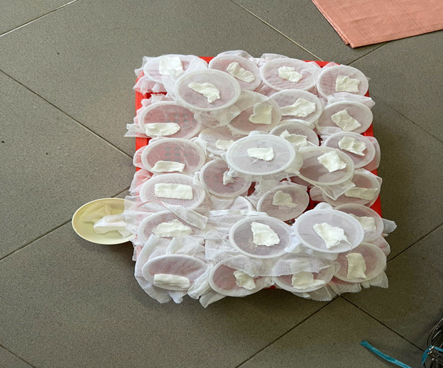 Image from DOCX
