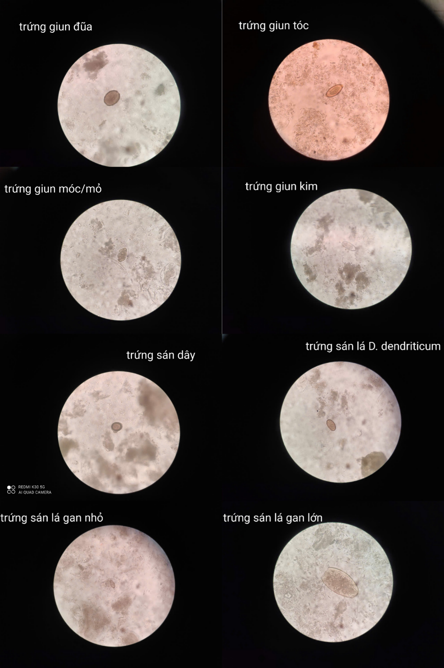 Image from DOCX