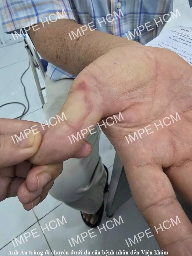 Image from DOCX