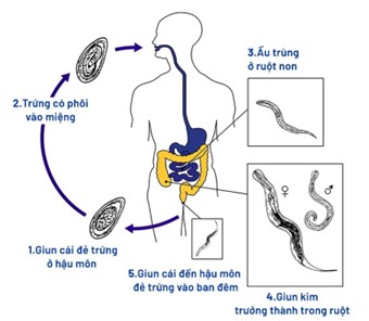 Image from DOCX