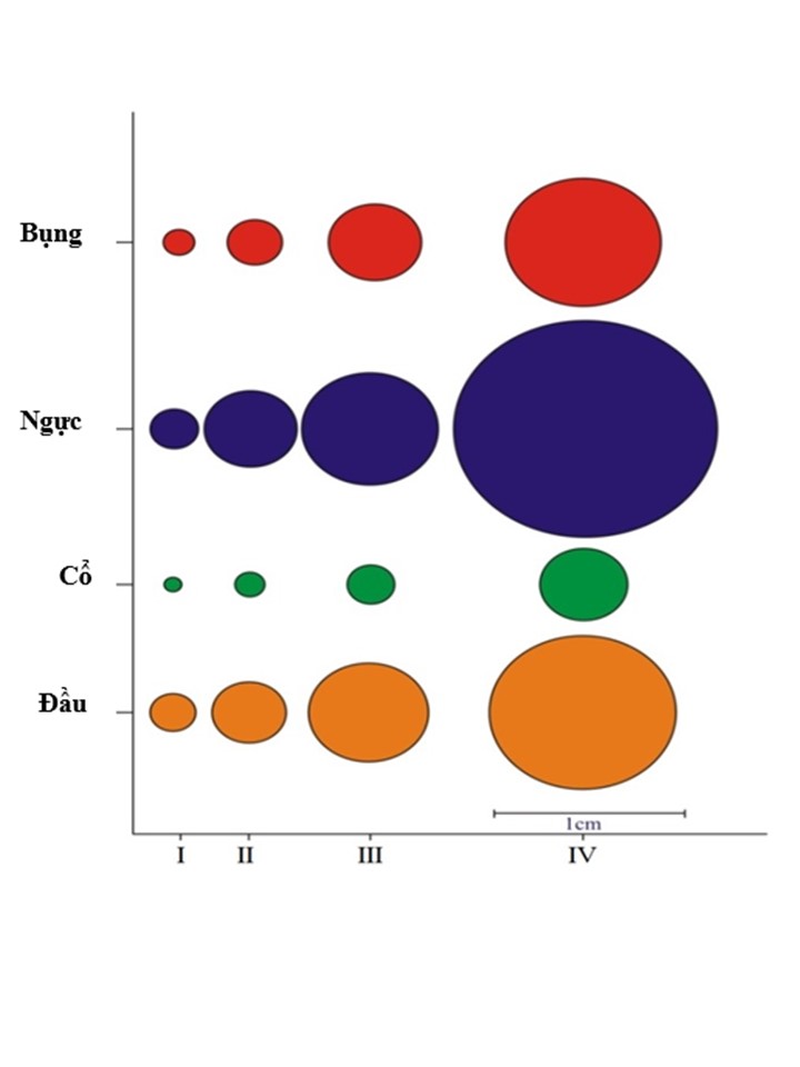 Image from DOCX